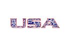 USA Guns American Flag Logo Vinyl  Sticker Decal 6" color  Republican USA