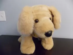 BAB Build A Bear 12" Plush Golden Retriever Puppy Dog Stuffed Animal Toy GUC - Picture 1 of 3