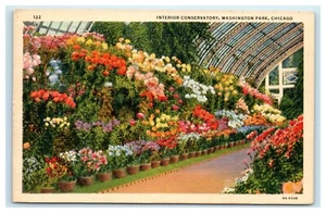 POSTCARD Interior Conservatory Washington Park Chicago Illinois IL Flowers - Picture 1 of 2