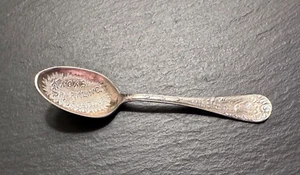 VINTAGE KNOX'S SPARKLING GELATIN "ONLY MEDAL AT THE WORLD'S FAIR" SILVER SPOON - Picture 1 of 8