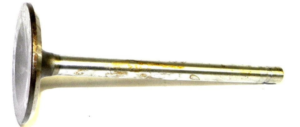 V-7581 Engine Exhaust Valve V7581 V 7581 - Image 1 of 1
