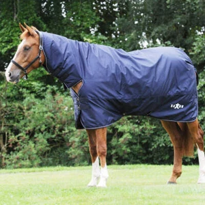 Saxon Defiant 600D Heavy Weight Combo Neck Turnout Rug - Picture 1 of 6