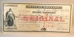 1893 - State Warrant - State Of Montana - 250,00 $ - Gehalt ~ FL-10-3 - Bild 1 von 13