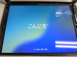 Pantalla LCD Original Apple OEM iPad 10.2" 7º 8º 9º A2197 A2200 A2270 A2428 - Imagen 1 de 1
