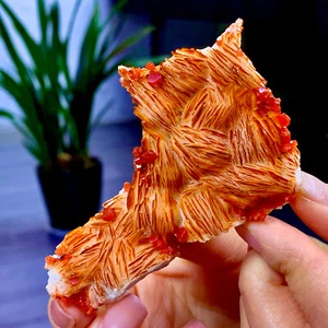 90G Natürlicher Vanadinit mit Baryt Kristall Paragenese Probe Mineral / Moro - Bild 1 von 13