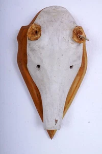 Schöner Hirschschädel auf Trophäenbrett für Abwurfstangen - Bild 1 von 3