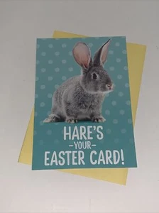 Hallmark Easter Card: Fluffy Bunny Here’s Your Card Hope Your Day Is Lots Of Fun - Picture 1 of 5