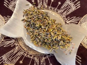 Lavender, Love, Romance, Reduce Stress, Sleep, Protect From Evil Spirits - Bild 1 von 2