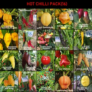 SUPER HOT 10+++ , 20 chiles mas picantes del mundo,200 semillas, pack(16) - Picture 1 of 1