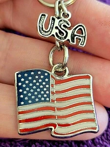 *Llavero Patriota Bandera Americana EE. UU. - Bolso Mochila Cremallera Dije+ - Imagen 1 de 4
