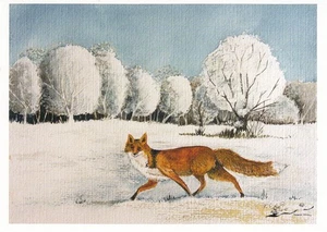 Postkarte - Frank Koebsch - Schnüren im Schnee / Fuchs - Bild 1 von 1