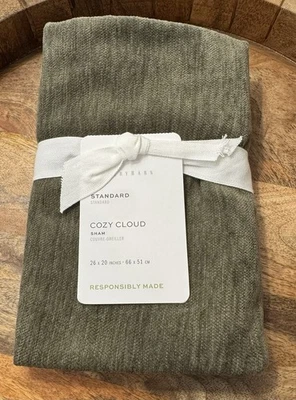 Pottery Barn Cozy Cloud Sham STANDARD Loden Green Plush Solid Pillow Cover NEW - Image 1 of 4