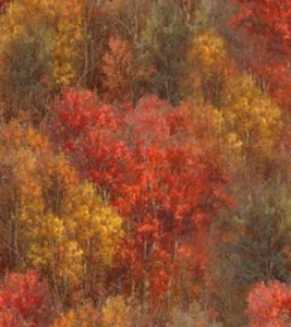 Whitetail Country By 3 Wishes Fall Tree Foliage Cotton Fabric by the Yard - Picture 1 of 4