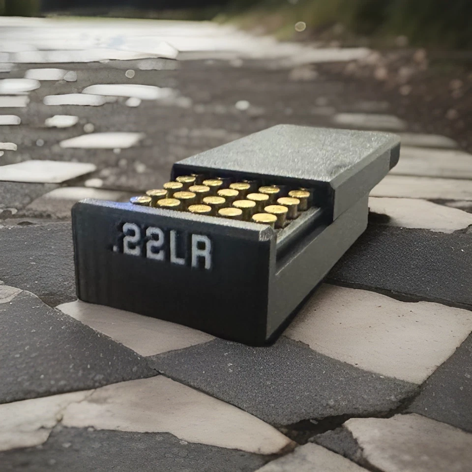 Caja de almacenamiento de munición 22LR - 50 rondas (juego de 4) ¡Envío gratuito! Foto 1 de 2