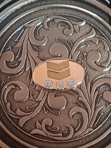 Vintage Cheveron 14K Emblem Belt Buckle Octanner Solid Brass Diamonds (3) 15yr. - Picture 1 of 7
