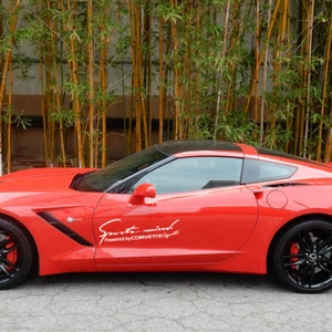 2 calcomanías de vinilo adhesivas de emblemas Corvette Sports Mind Power de varios colores - Imagen 1 de 3