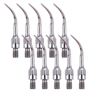 10 x scalatore piezoelettrico ad ultrasuoni dentale ridimensionamento endo punta perio PS1 adatto SIRONA scaler - Foto 1 di 9