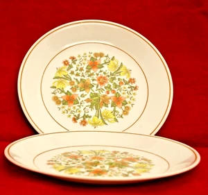 Corelle Indian Summer 2er Set Mittagessen Teller 8 1/2" Floral Vintage 60er Retro - Bild 1 von 3