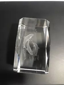 Laser Etched Glass Block Beveled PAPERWEIGHT 3D ORNAMENT 8cm Rectangle DOLPHINS - Picture 1 of 12