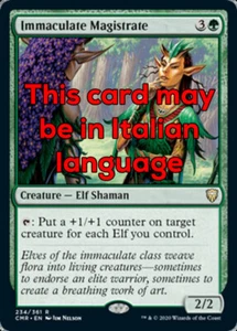 MTG IMMACULATE MAGISTRATE EXC - MAGISTRATO IMMACOLATO - CMR - MAGIC - Imagen 1 de 1