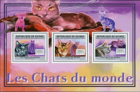 Cats Stamp Nebelung Ocicat Singapura Sokoke Toyger S/S MNH #8906-8908 Cover