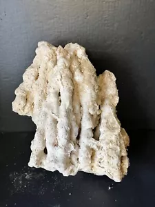 "Corallo barriera corallina naturale marina fossile collinare a forma di scogliera di fusione 11" - Foto 1 di 5