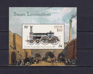 SA11e Nevis 2014 Steam Locomotives mint minisheet - Picture 1 of 1