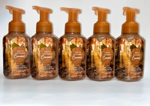 5 weiße Kokosnuss Karamell sanft schäumende Handseife Bath & Body Works 8,75 fl. Oz. - Bild 1 von 1