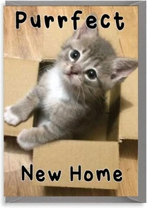 Perfekte neue Haus/Zuhause Karte, Einweihungskarte (Purrfect) - Cheekychops - Bild 1 von 3