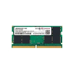 Transcend 16Go JM DDR5 5600 SO-DIMM 1Rx8 - Bild 1 von 1