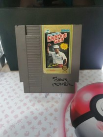 Nintendo Entertainment System NES: Lee Trevino's Fighting Golf Tested