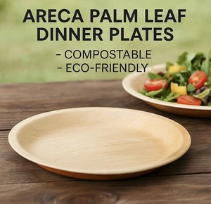 Spritz Areca Palm Leaf Dinner Plates - Compostable Eco-Friendly 10 Ct - Picture 1 of 5