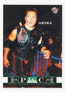 Tarjeta coleccionable AKIRA - 2005 BBM Pro-Wrestling - Imagen 1 de 3