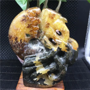 637g Hand carving Rare Natural conch Ammonite fossil specimens of Madagasca X529 - Picture 1 of 10