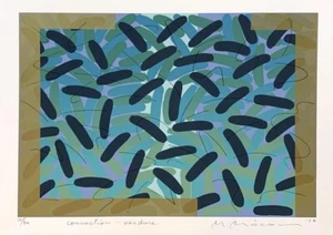 Masao Minami "Convection (Verdure)" Original Silkscreen S/N - Picture 1 of 1