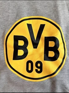 Borussia Dortmund BVB Logo Grau Kapuzenpullover Herren Gr. XXL Brandneu!! Neu mit Etikett - Bild 1 von 8