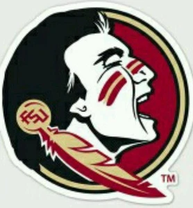 Florida State Seminoles Logo 4x4 Perfect Cut Car Window Decal See Description  - Picture 1 of 1