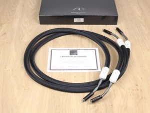 Absolue Creations UL-TIM highend audio interconnects RCA 1,6 metre - Imagen 1 de 4