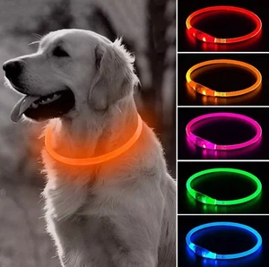 LED Hundehalsband USB Wiederaufladbar Leuchten Hundehalsband Leuchtet im Dunkeln FARBE ORANG - Bild 1 von 6