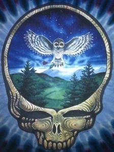 Grateful Dead Stealie Eule Shirt Steal Your Face Owl Krawatte Farbstoff Shirt - alle Größen - Bild 1 von 2