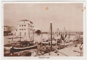 MARE KÄFIG - PESARO -16482- - Bild 1 von 1