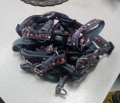 Arnés de nailon ajustable Hamilton para perros, 5/8" x 12-20" - Lote de 3 Foto 1 de 3