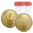 Lot of 20 - 2023 1 oz Canadian Gold Maple Leaf $50 Coin .9999 Fine BU (2 Roll,