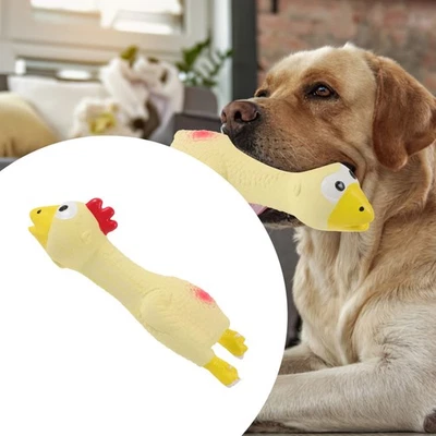  Giochi Per Cani Pollo in Lattice Giocattolo Cane Animali Domestici - Immagine 1 di 4