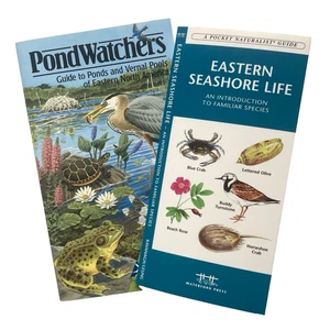 Pocket Naturalist Guide Eastern Seashore Life & Pond Watchers Guide Eastern N Am - Bild 1 von 10