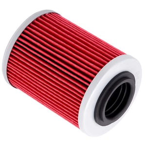 Filtro de aceite para Can Am Ryker 600 900 ACE 2019-2024 Rally Sport 900 2023-2024 - Imagen 1 de 9