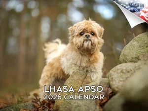Calendario Raza Perro Lhasa Apso 2026 12x18 Hecho en EE. UU. - Imagen 1 de 7
