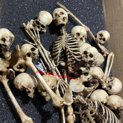 1/12 Scale Human Beings Skeleton PVC Model for 6" Action Figure Accessory Toys - Image 1 of 4