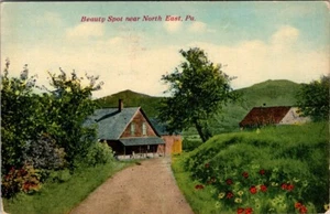 BEAUTY SPOT NEAR NORTH EAST, PA. UNPOSTED POSTCARD - A46 - Picture 1 of 2