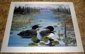 Poster Stampa Maine Loons "Lazy Day" firmato Paul Boucher 25 x 19 colori arte - Foto 1 di 2
